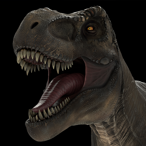 T-rex – 3D model